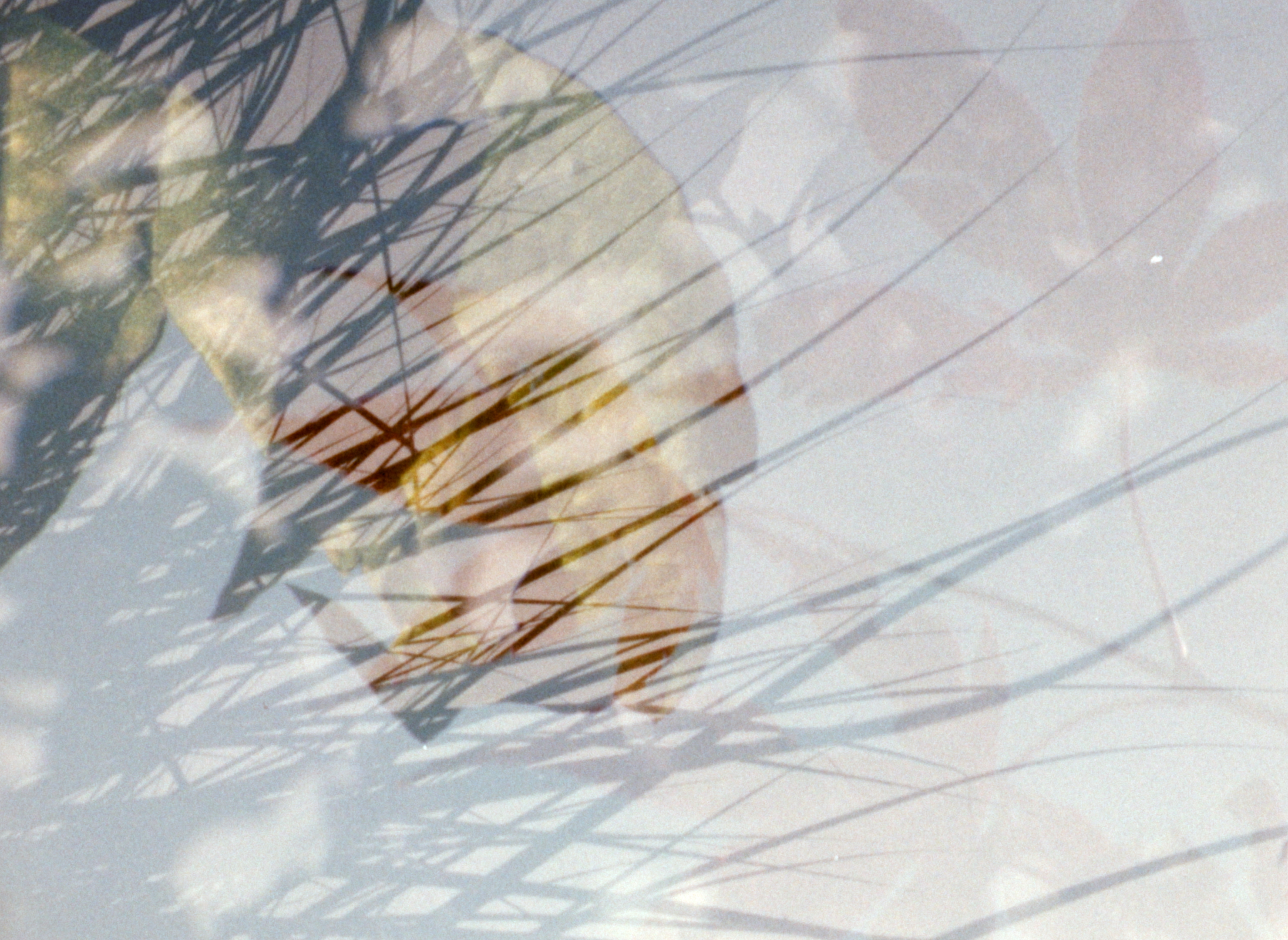 Blätter im Herbst #2 — still