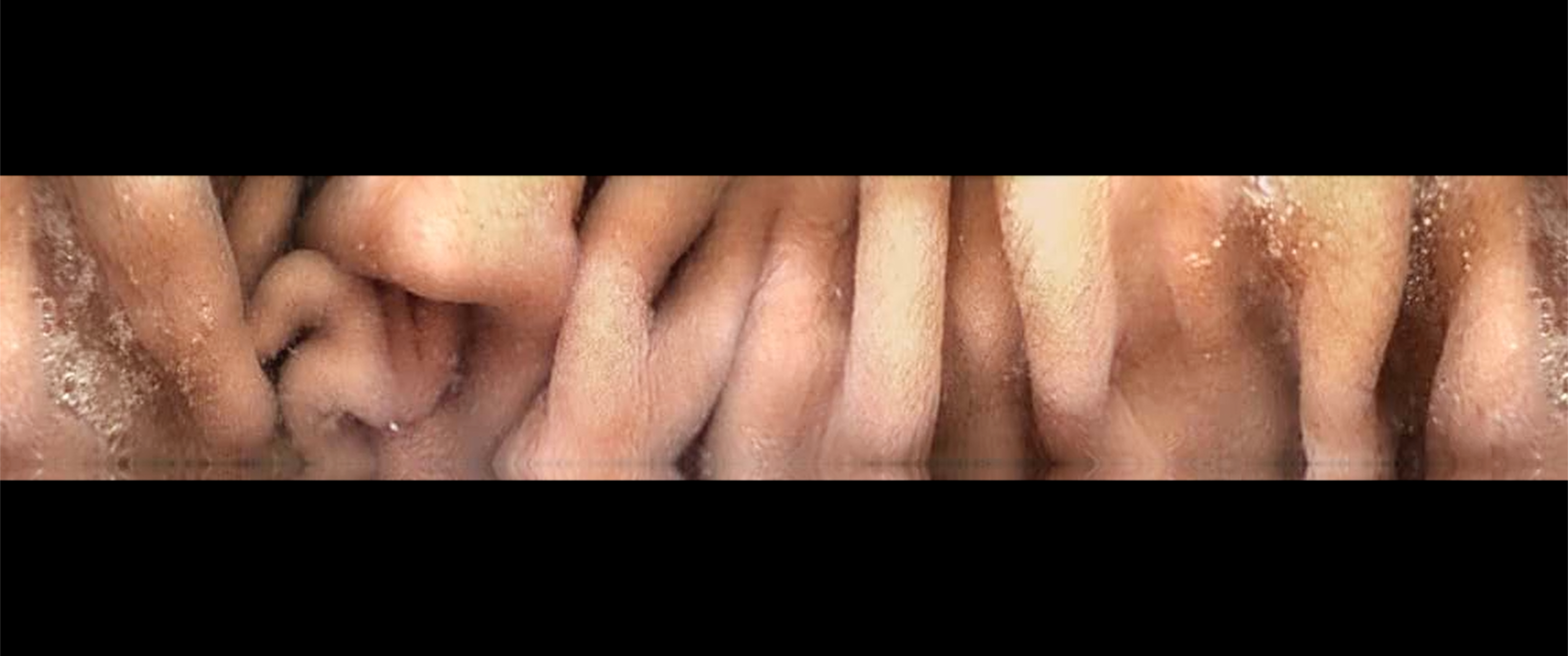 The Act of Not Seeing — still 2