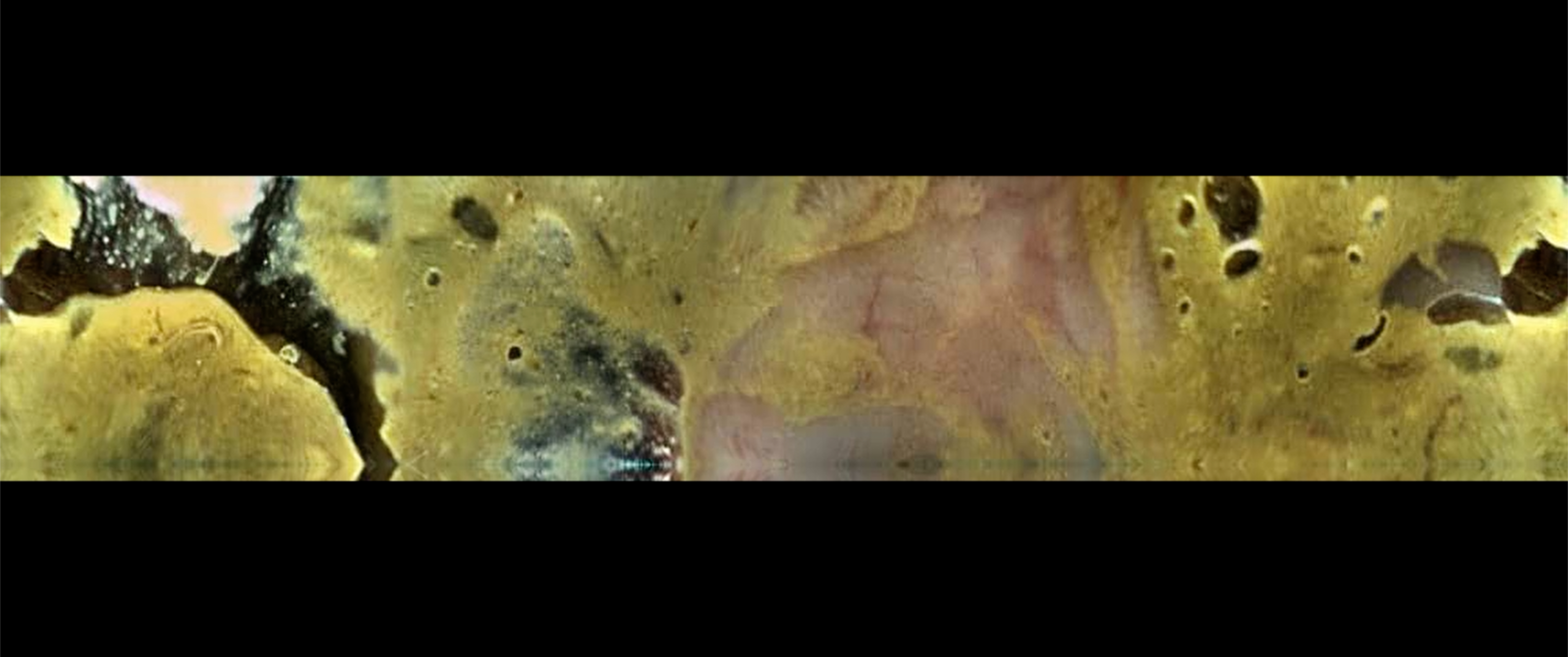 The Act of Not Seeing — still 4